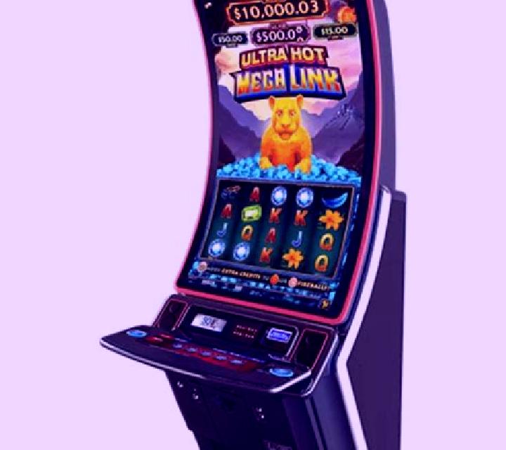 Bikini Queens Live Mega Edition slot machine