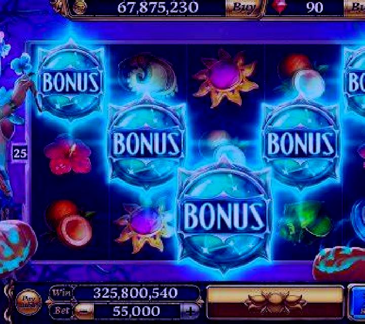 Bingo 80 slot