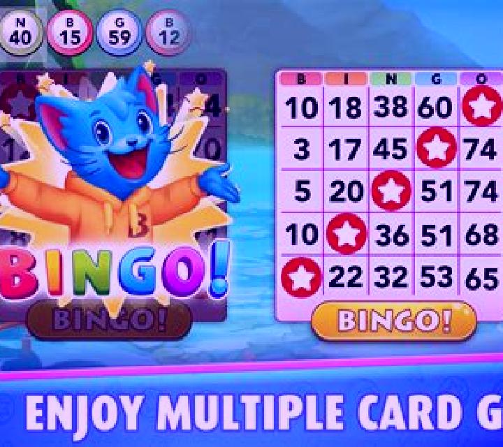 Bingo Adventure online slot