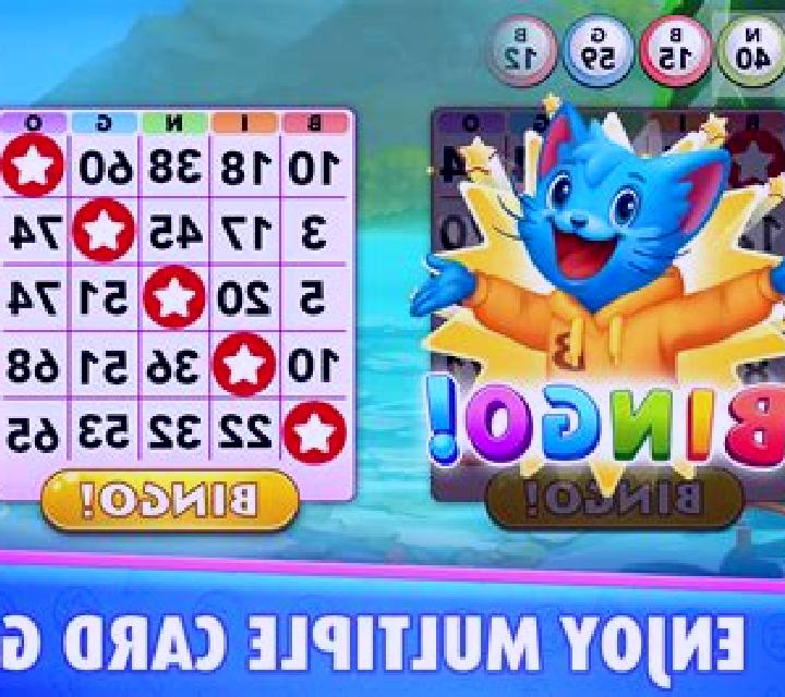 Bingo Adventure slot game