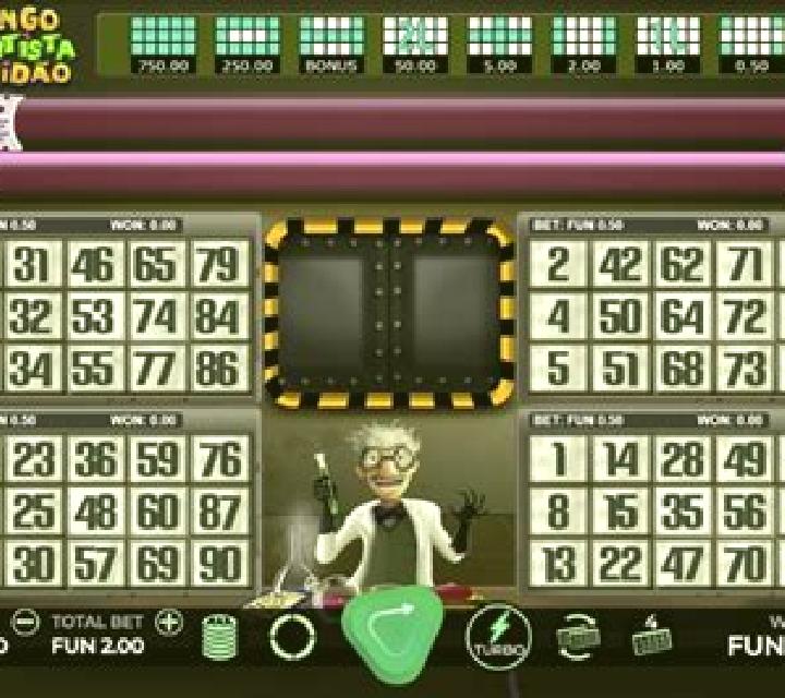 Bingo Cientista Doidao online slot