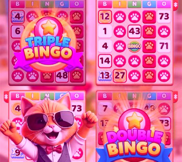 Bingo Dream online slot