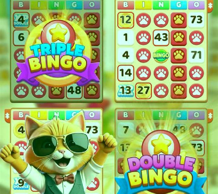 Bingo Dream slot