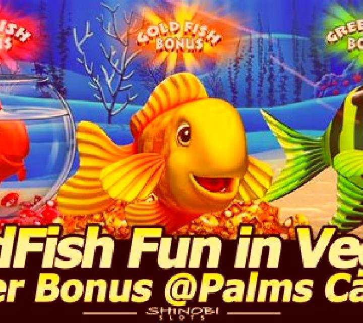 Bingo Fishing slot