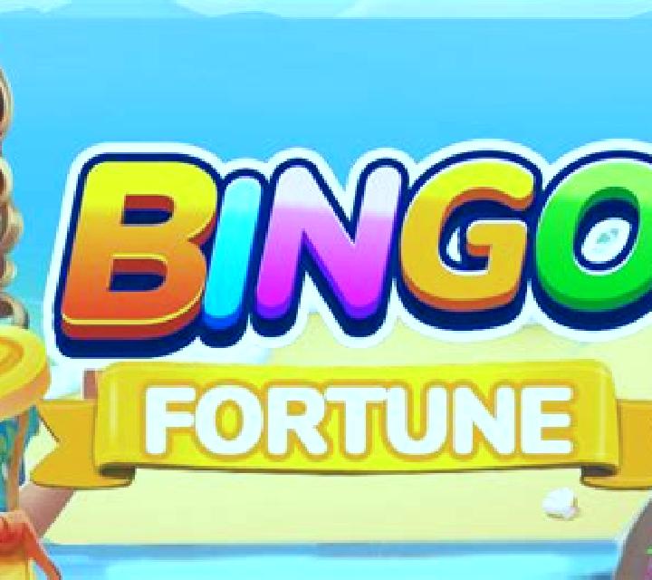 Bingo Fortune slot game