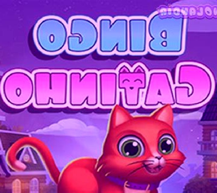 Bingo Gatinho online slot