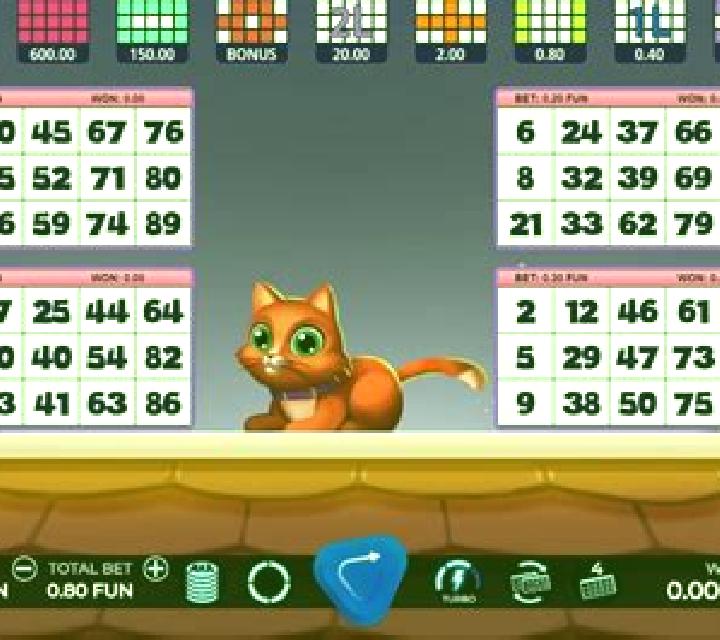 Bingo Gatinho slot game