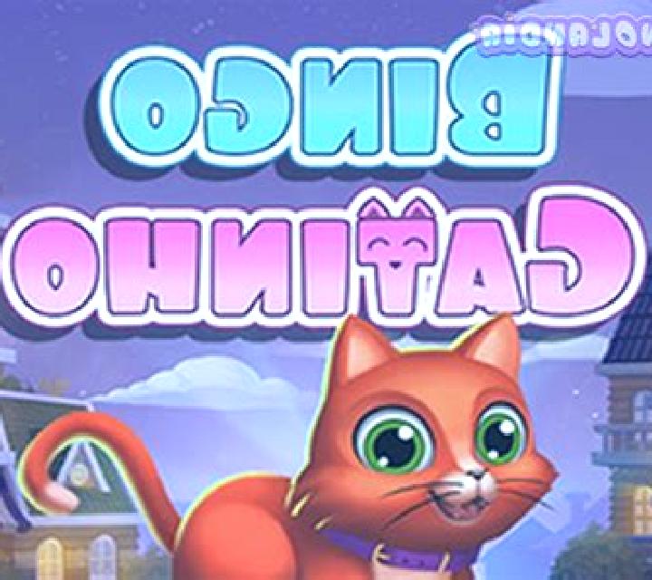 Bingo Gatinho slot machine
