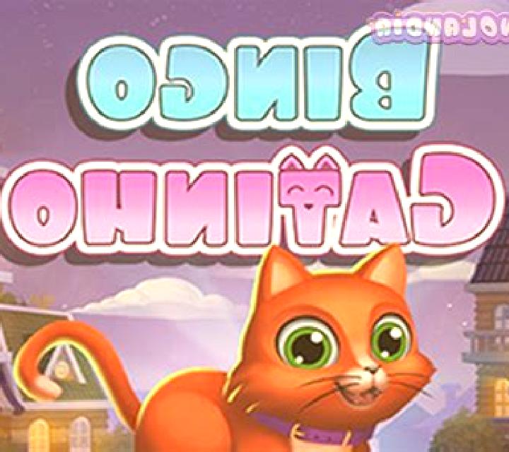 Bingo Gatinho slot