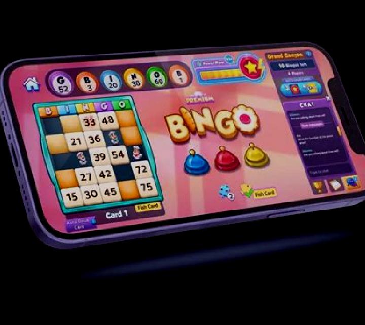 Bingo-Go online slot