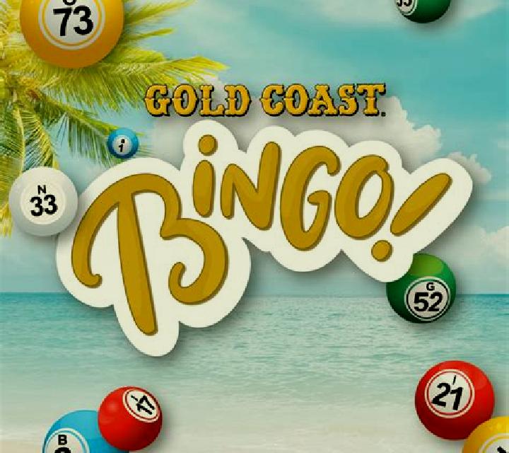Bingo-Go slot game