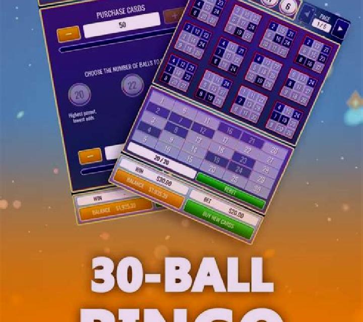 Bingo Goal slot game
