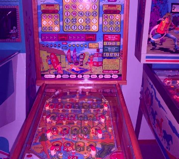 Bingo Iglu slot machine
