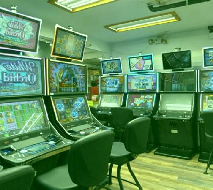 Bingo Slot (XIN Gaming) slot game