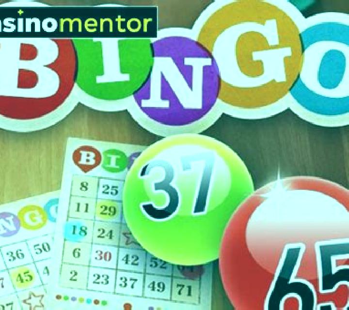 Bingo (Spigo) slot