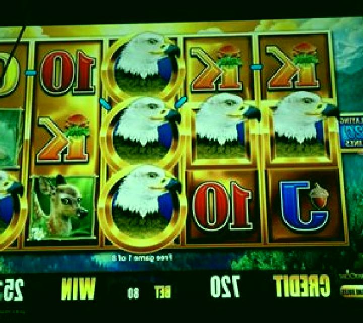 Bird of Prey slot game