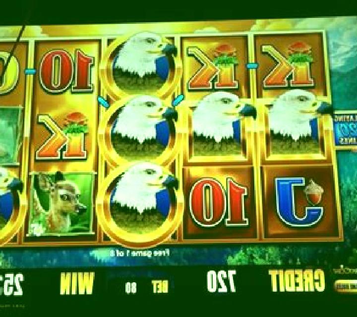Bird of Prey slot machine