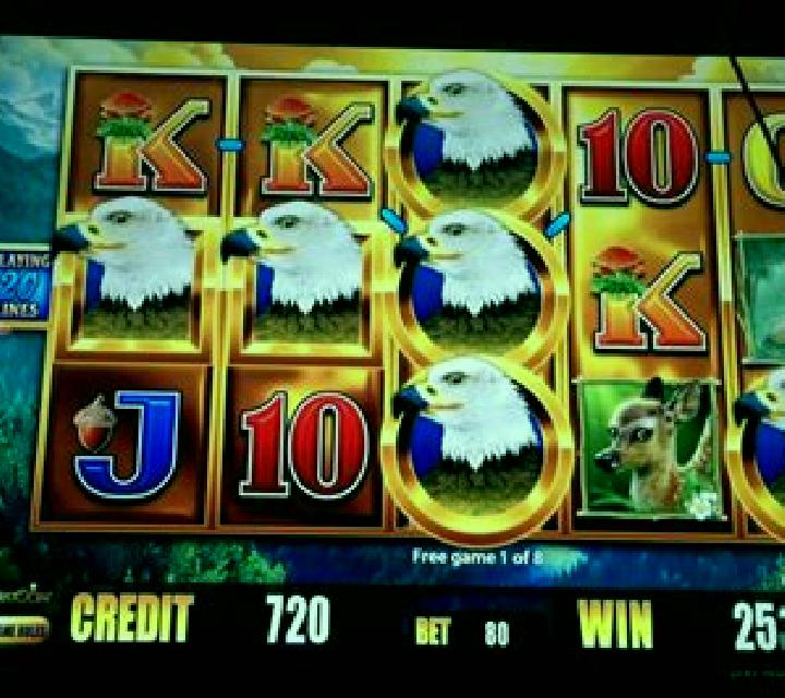 Bird of Prey slot