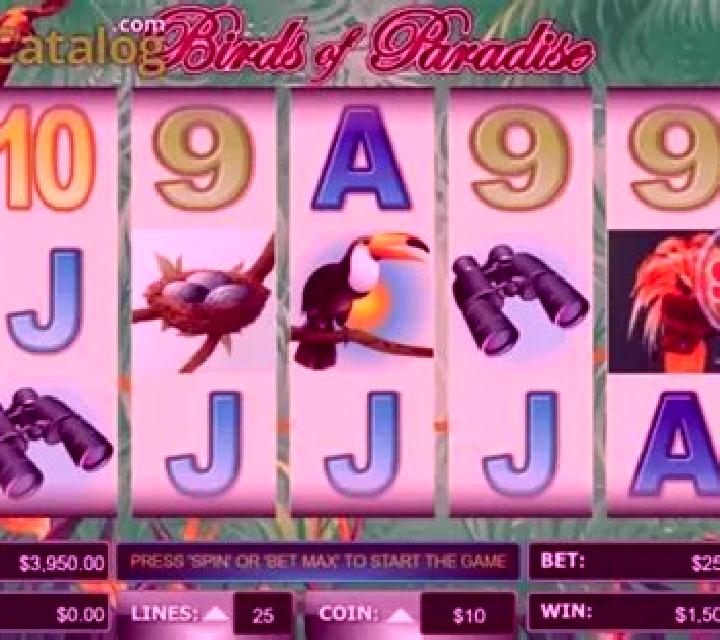 Birds Of Paradise (Wager Gaming) slot