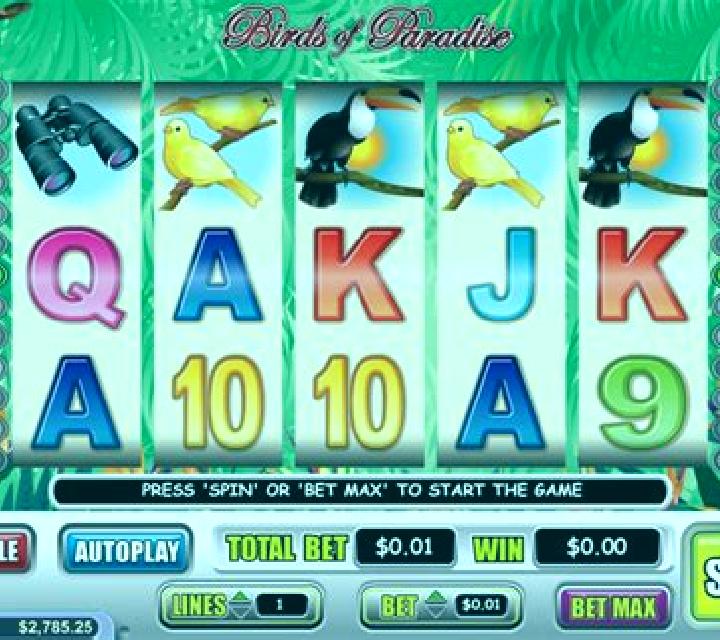Birds Paradise slot game