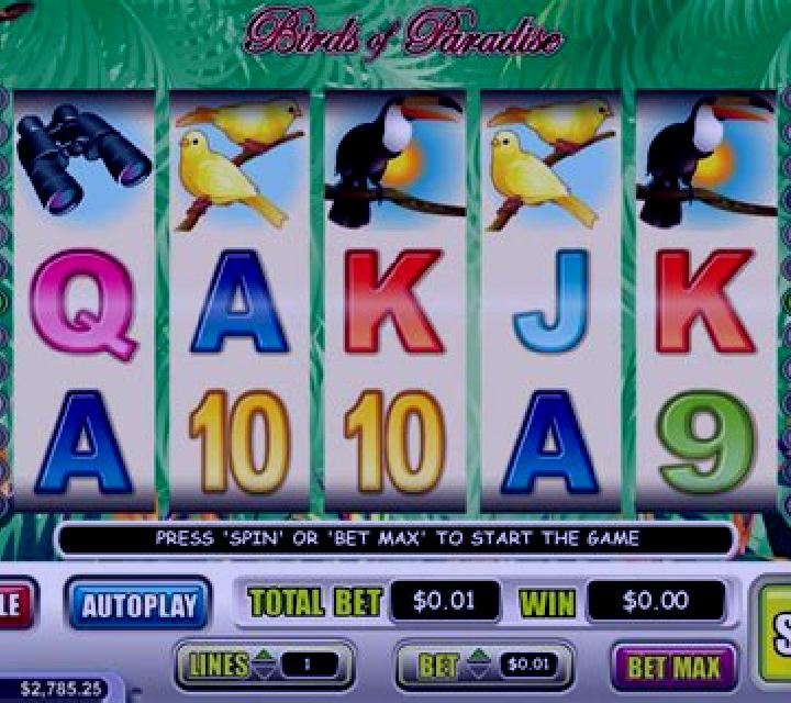 Birds Paradise slot machine