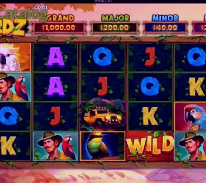 BIRDZ (Flipluck) slot