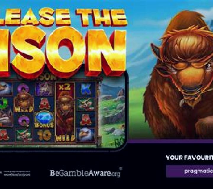 Bison Bonus slot machine