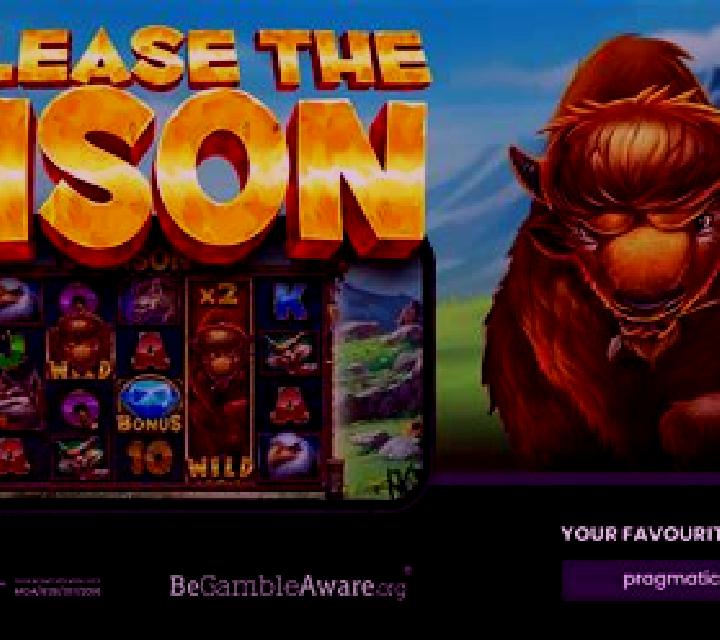 Bison Storm slot machine