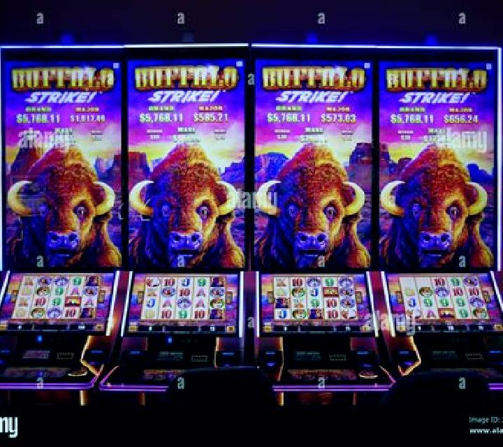 Bison vs Buffalo slot machine