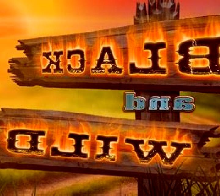 Black And Wild slot
