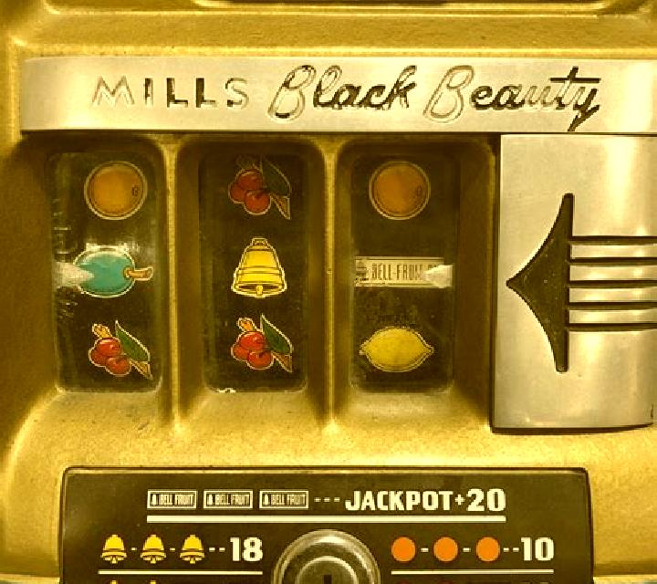 Black Beauty slot game