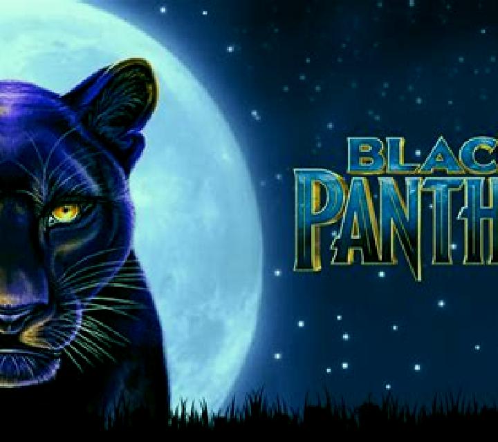 Black Panther slot machine