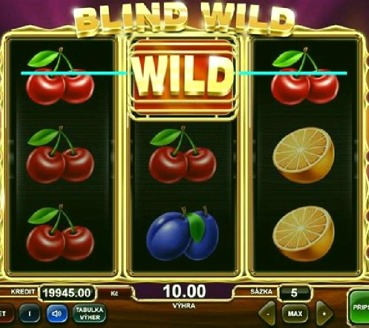 Blind Wild slot