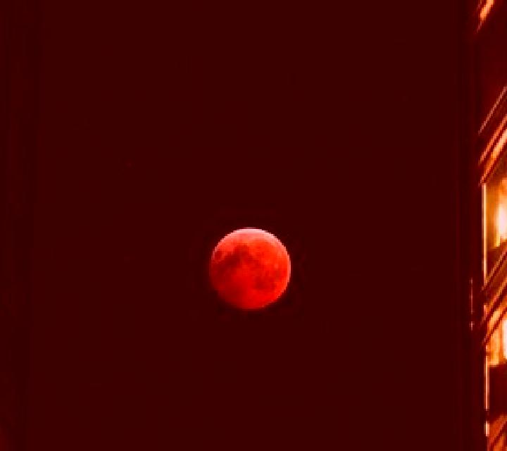Blood Moon (X Card) online slot