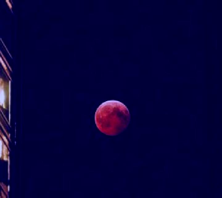 Blood Moon (X Card) slot machine