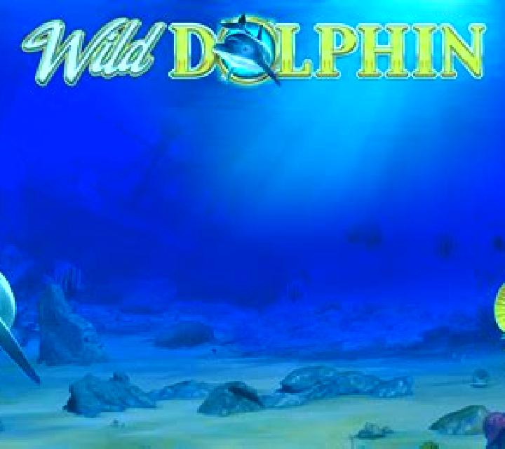 Blue Dolphin online slot