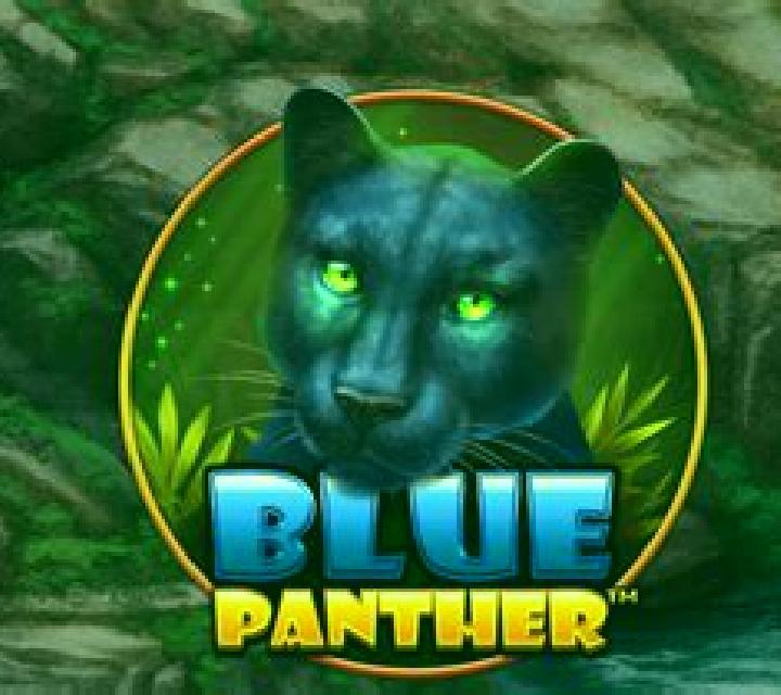 Blue Panther slot game