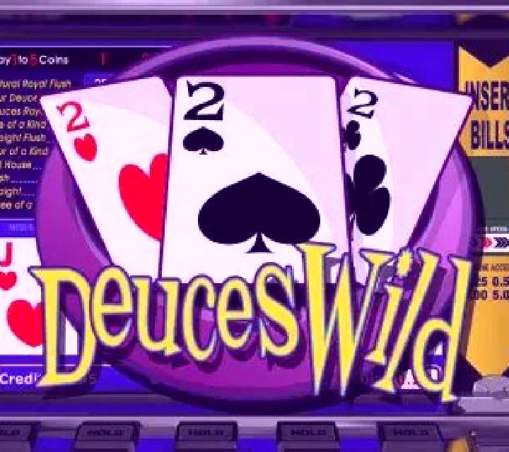 Bonus Deuces Wild (Red Rake) slot game