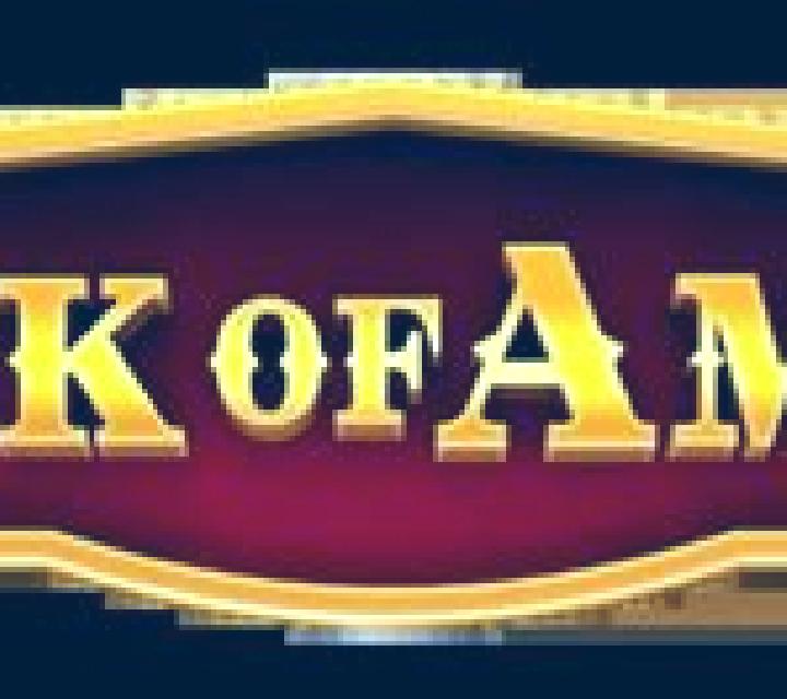 Book of Amigo online slot