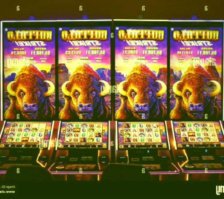 Book of Buffalo slot machine