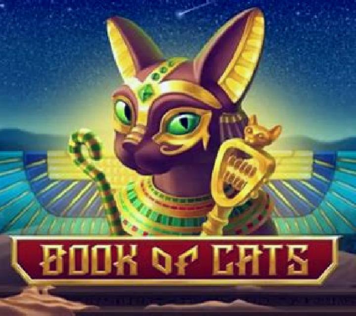 Book Of Cats slot game