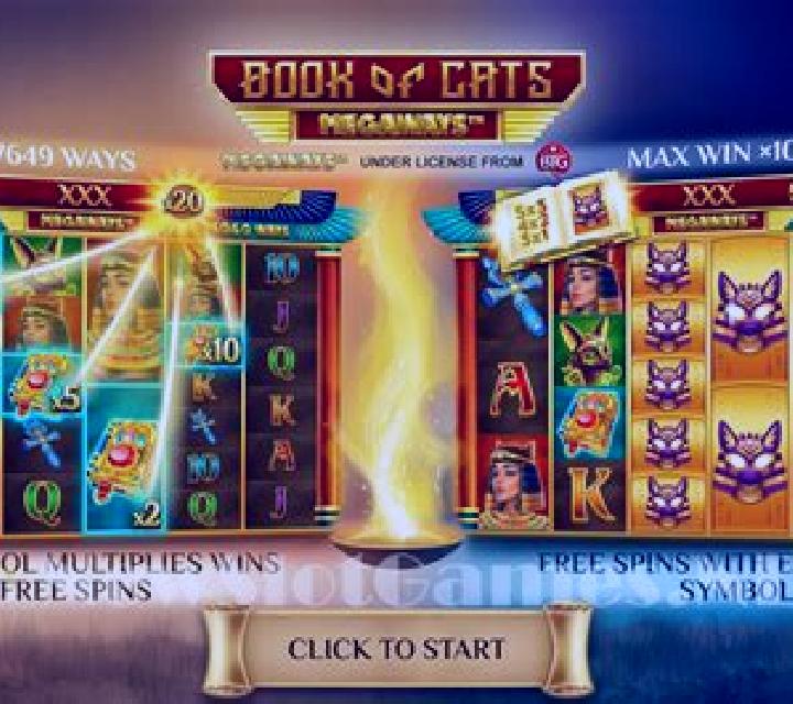 Book Of Cats slot