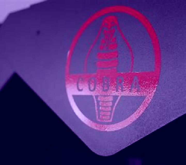 Book of Cobra slot machine