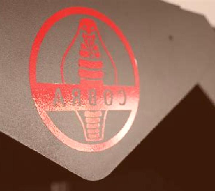 Book of Cobra slot