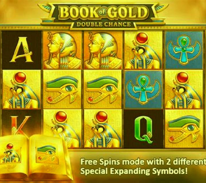 Book of Gold: Double Chance online slot