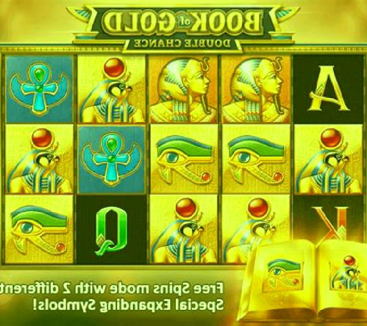 Book of Gold: Double Chance slot game