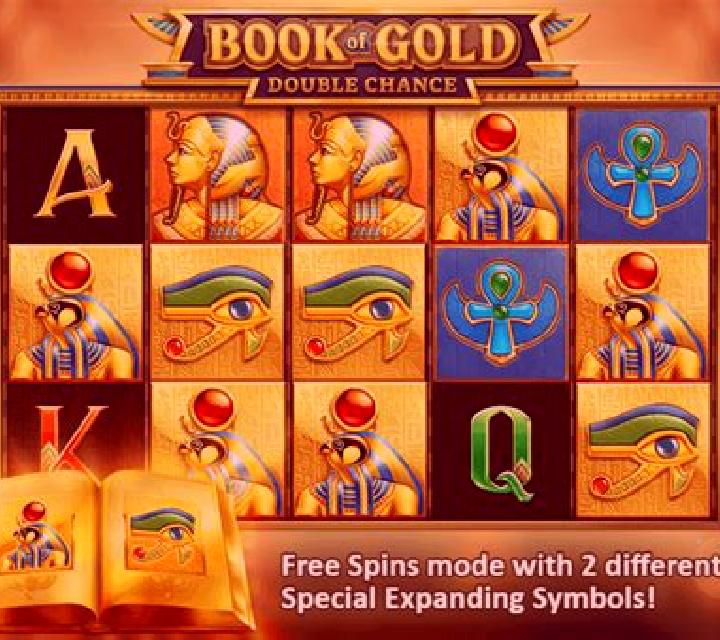 Book of Gold: Double Chance slot machine