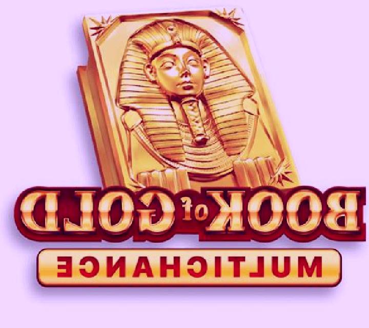 Book of Gold Multichance slot game