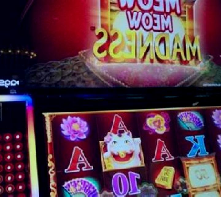 Book of Meow slot machine