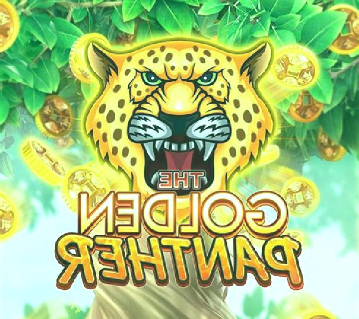 Book of Panther slot game